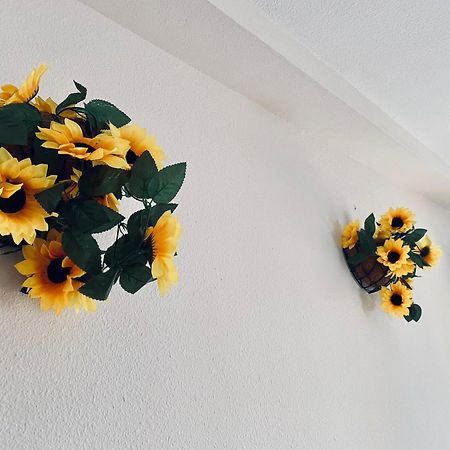 Apartamentos Ruz Cordoba Ngoại thất bức ảnh